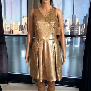 ☀️☀️☀️ Gold Matte Sequin Fit and Flare